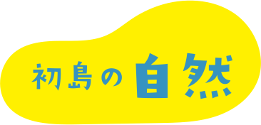 初島の自然