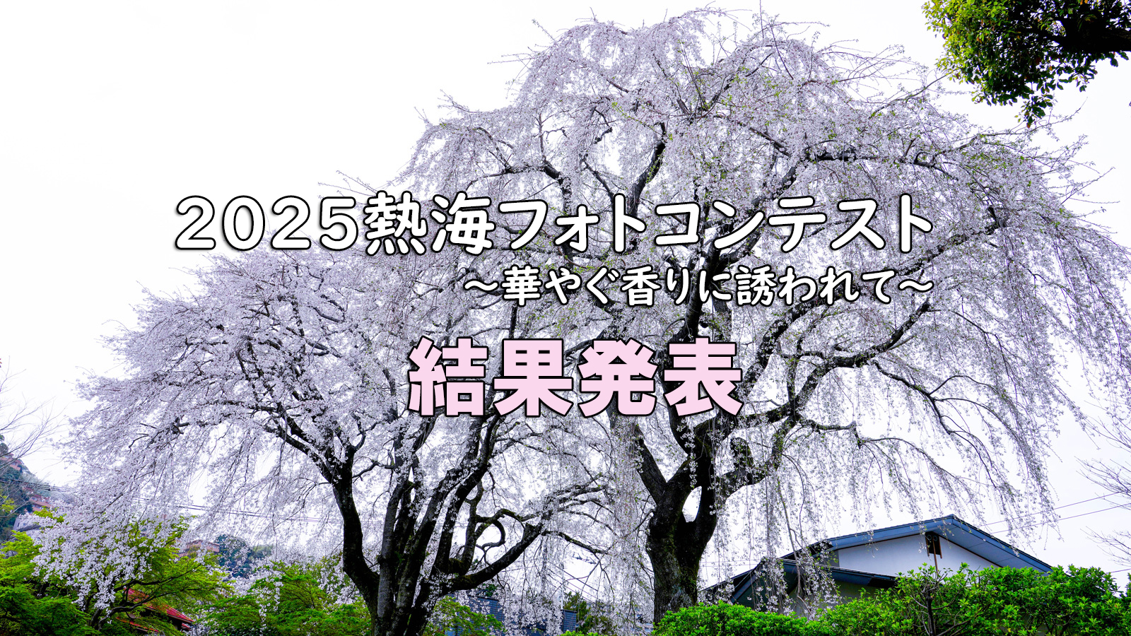 2025熱海フォトコンテスト　～華やぐ香りに誘われて～　結果発表