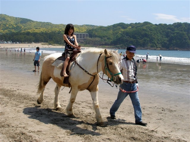 伊豆下田乗馬クラブ