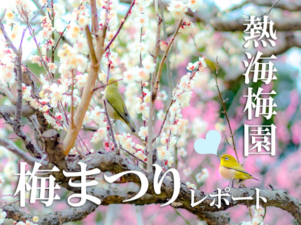 第80回熱海梅園梅まつりレポート